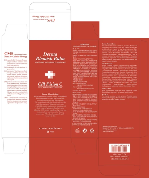 Derma Blemish Balmblemish balm 포장