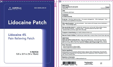 LIDOCAINE 4% packaging