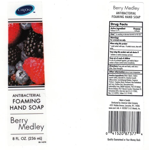 ANTIBACTERIAL FOAMING BERRY MEDLEY 포장