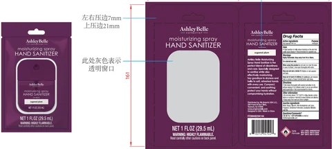 Ashley Belle Moisturizing Hand Sanitizer Sugared Plum packaging