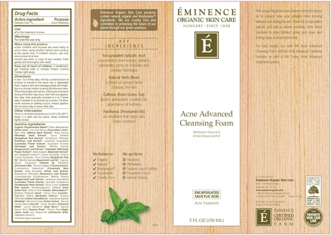 Acne Advanced Cleansing 포장