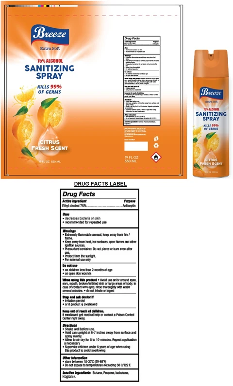 BREEZE SANITIZING CITRUS FRESH SCENT 포장