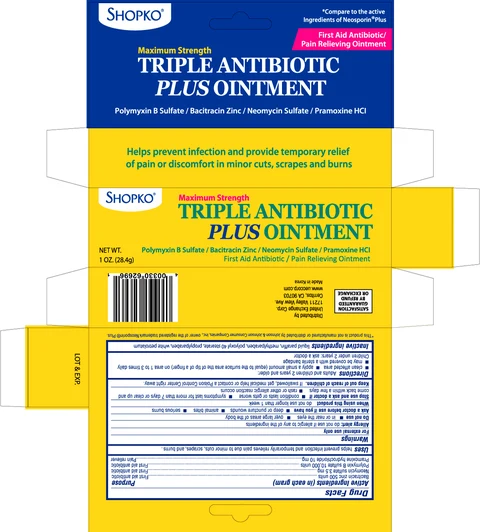 SHOPKO TRIPLE ANTIBIOTIC PLUS 포장