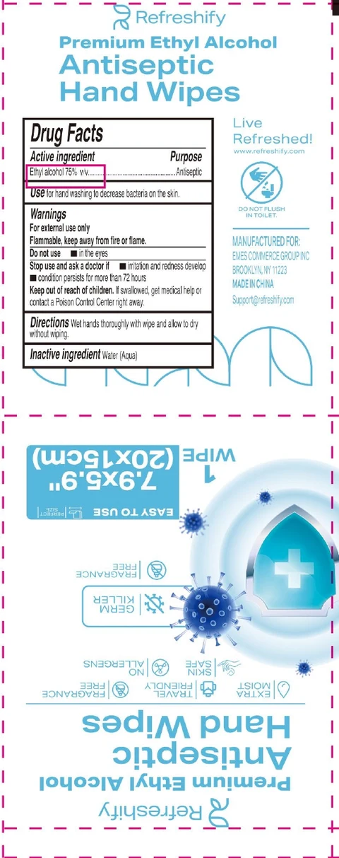 Refreshify Antiseptic Hand Wipes 포장
