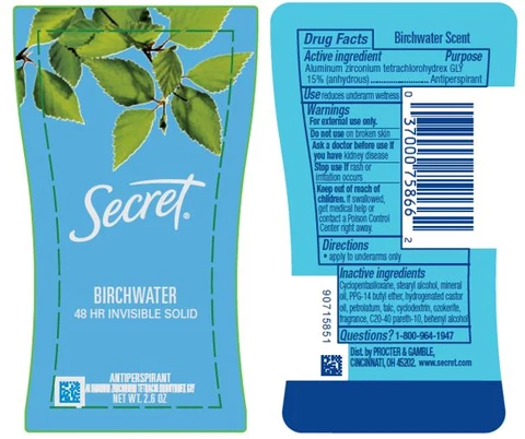 Secret Birchwater Invisible 포장