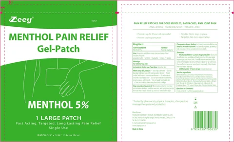 MENTHOL PAIN RELIEF Gel-Patch packaging