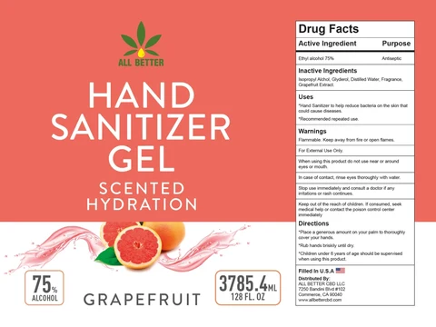 Hand Sanitizer 포장