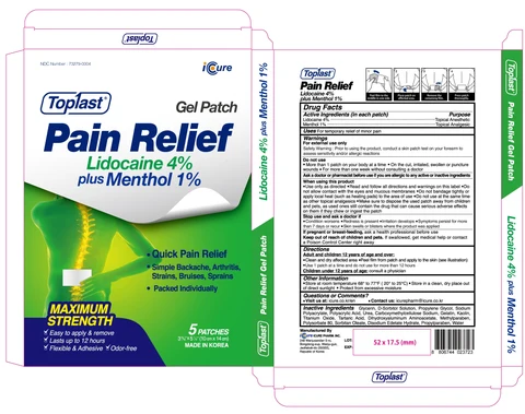 Toplast Pain Relief Lidocaine 4percent plus Menthol 1percent 포장