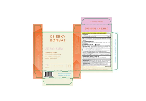 Cheeky Bonsai UTI Pain Relief 포장