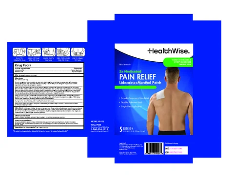 HealthWise Lidocaine Plus Menthol Patch packaging