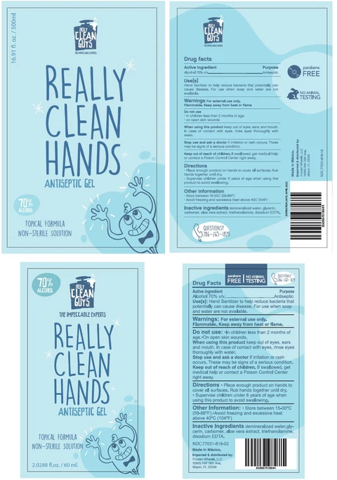 HOLY CLEAN GUYS ANTISEPTIC HAND SANITIZER packaging