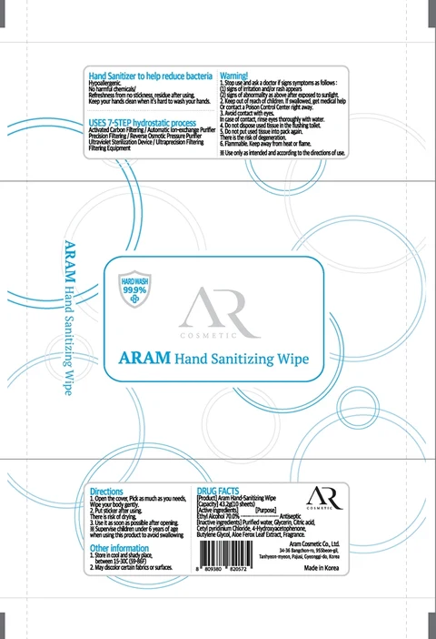 ARAM Hand Sanitizing Wipe 포장