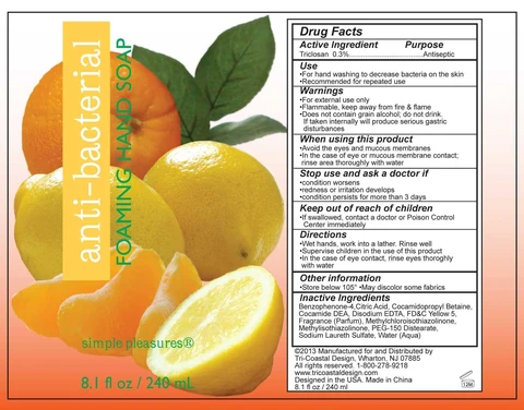 simple pleasuresantibacterial foaming hand 포장