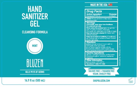 BLUZEN HAND SANITIZER MINT 포장