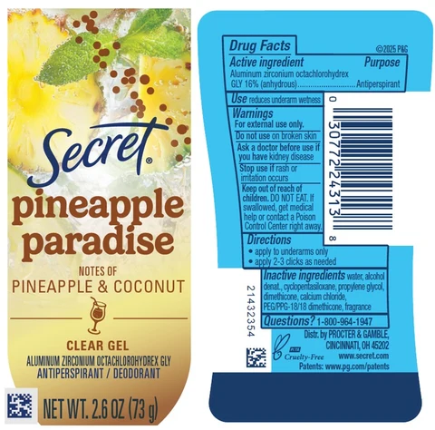 Secret Pineapple Paradise Clear 포장