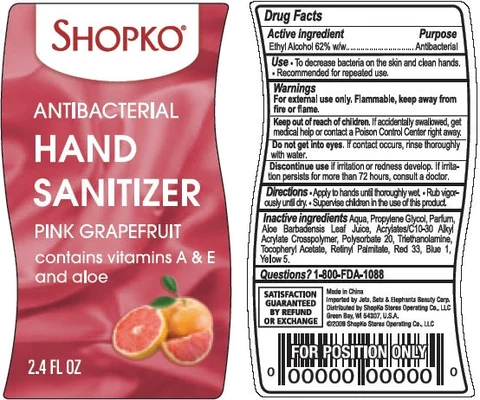 Shopko Antibacterial Hand Sanitizer 포장