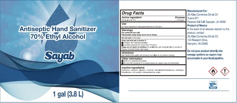 Antisepctic Hand Sanitizer 100 포장