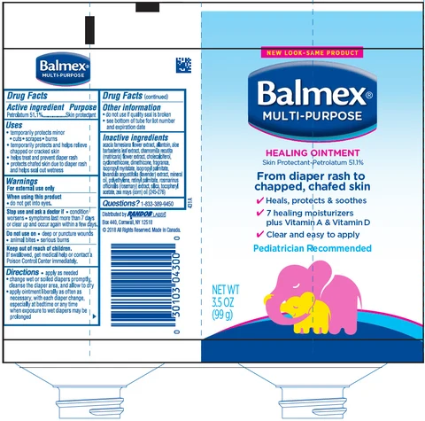 BALMEX MULTI-PURPOSE 포장