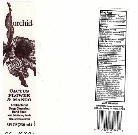 CACTUS FLOWER AND MANGO ANTIBACTERIAL DEEP CLEANSING HAND SP packaging