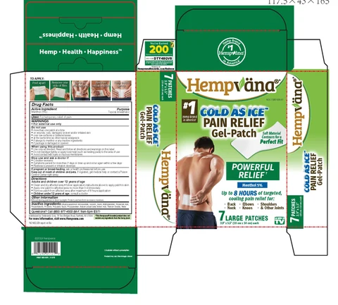 Hempvana Cold As IcePain Relief Gel-Patch 포장