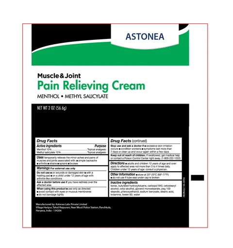 ASTONEA CARE Muscle and Join Pain Relief Cream 포장