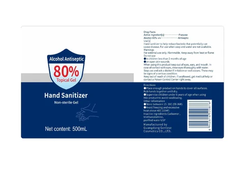 Antiseptic 80% Topical Gel Hand Sanitizer 포장