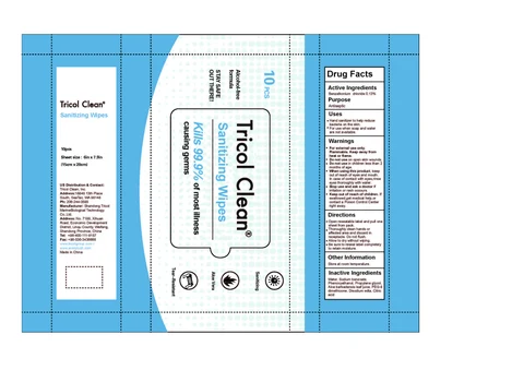 Sanitizing Wipes 포장
