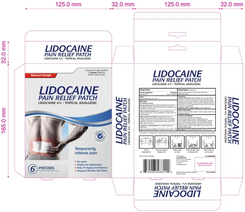 Lidocaine 4% Patch packaging