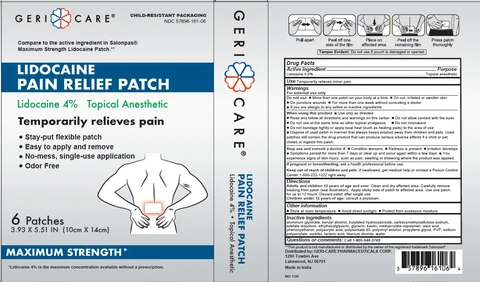 Lidocaine Pain Relief Patch packaging