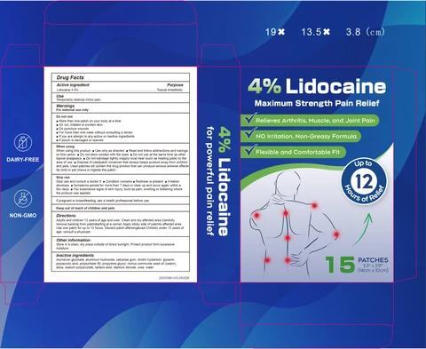 4% Lidocaine Maximum Strength Pain Relief 포장