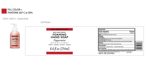BODY PRESCRIPTIONS Peppermint INFUSED WITH VITAMIN E ANTIBACTERIAL FOAMING HAND 포장