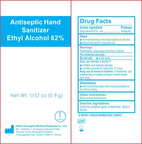 Antiseptic Hand Sanitizer 포장