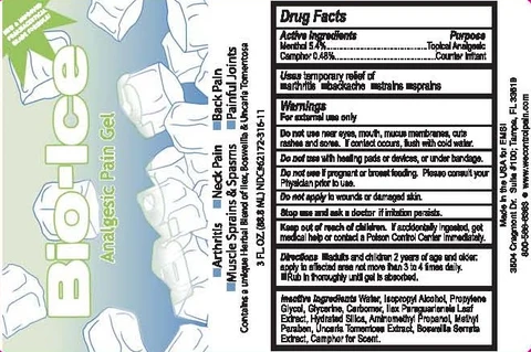BIO-ICE 포장