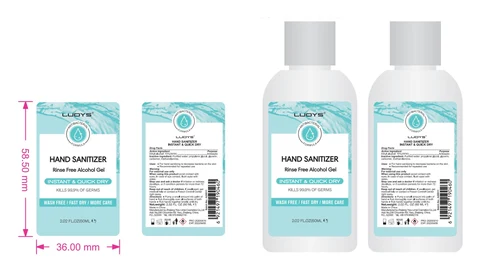 LUOYS Hand Sanitizer packaging