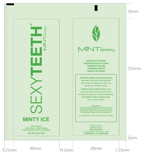 SEXYTEETH MINTY T00THPASTE 포장