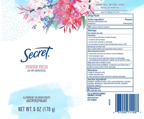 Secret AntiperspirantPowder Fresh 포장