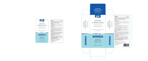 Lidocaine Numbing Cream packaging