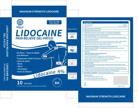 Lidocaine Pain Relieve Gel-Patch packaging