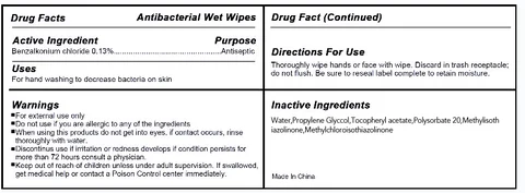 Antibacterial Wet Wipes 포장