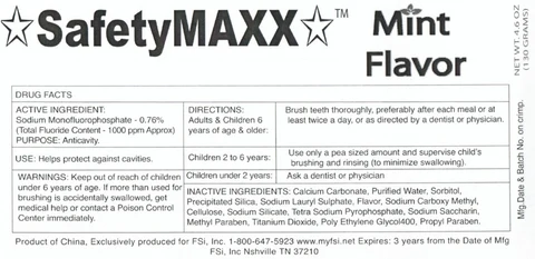 SafetyMAXX Mint Flavor 포장