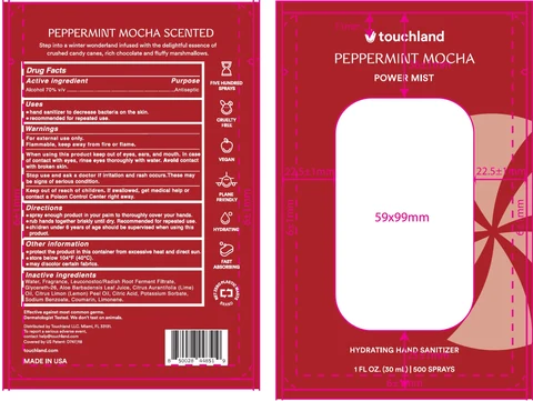 Touchland Power Mist Peppermint Mocha Scented Hydrating Hand sanitizer 포장