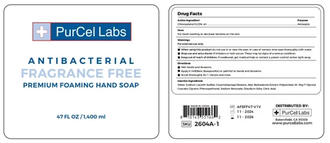 Antibacterial wash hands foam 포장