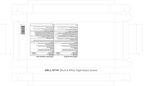 CellStin Ampoule Black 포장