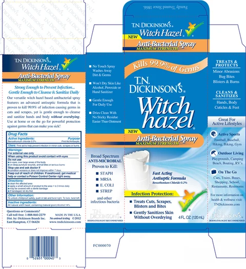TN Dickinsons Witch Hazel Antibacterial 포장