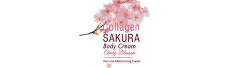 Colagen Sakura Body Cream 포장