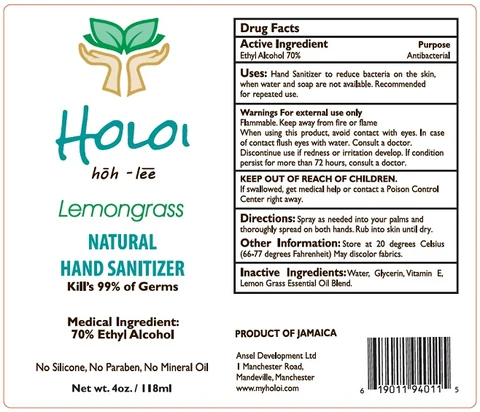 HOLOI packaging