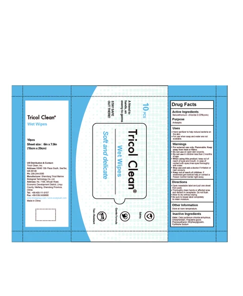 wet wipes packaging