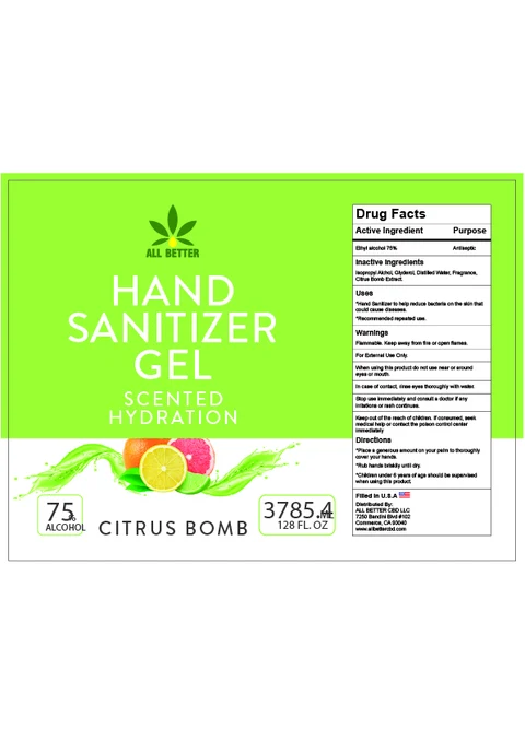 Hand Sanitizer 포장