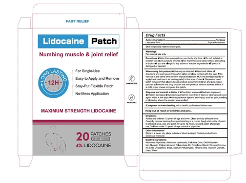 Lidocaine Patch packaging