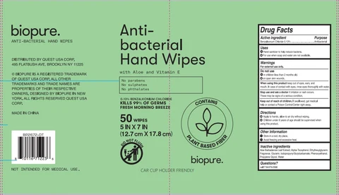 BIOPURE 40CT ANTI BACTERIAL HAND WIPES 포장